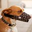 Bozal Pamppy Calavera Mexicana para perros color Multicolor, , large indicador imagen numero 3