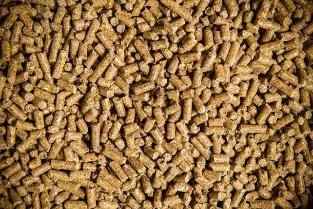 Equisan Potros granulado 35 kg, , large Imagen numero 2