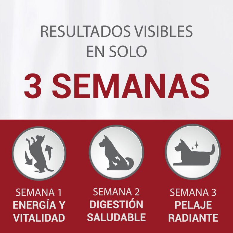 Purina One Adult Mini Weight Control Sterilised Pavo y Arroz pienso para perros  , , large image number null