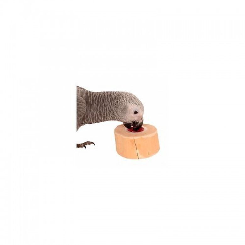 Soporte para gelatinas para loros thumbnail