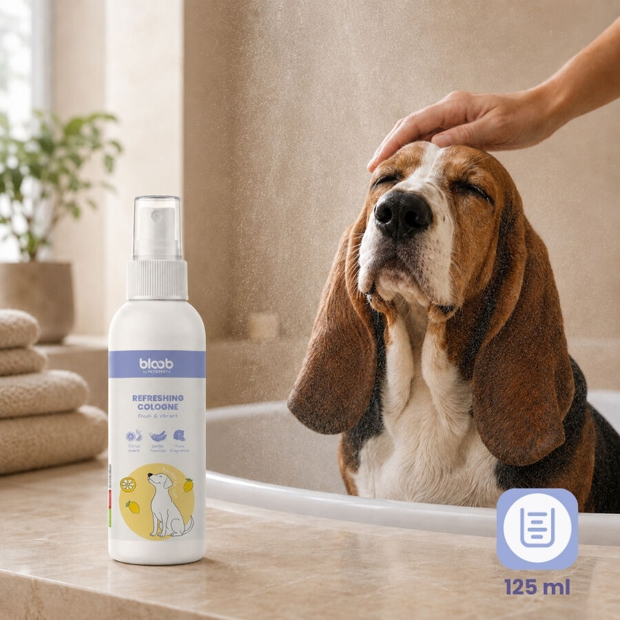 Bloob Colonia Refrescante Yuzu para perros, , large Imagen numero 6