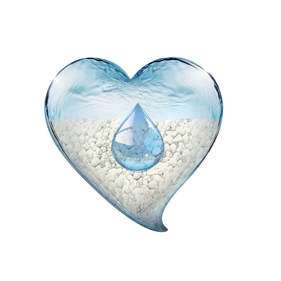 Sanicat Arena Aloe Vera thumbnail