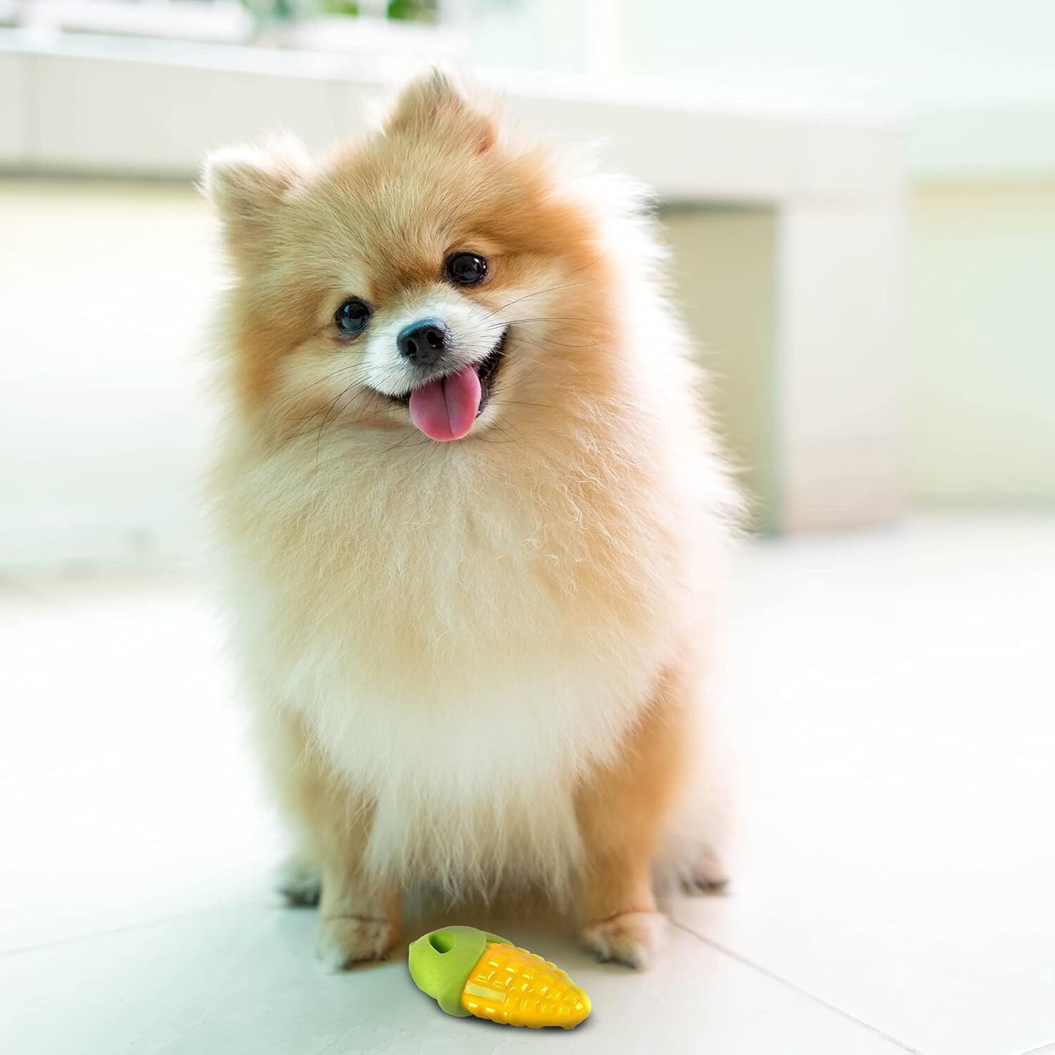 FOFOS | Juguete Interactivo (Flotante) Ma&iacute;z  - Para Perro, , large Imagen numero 3