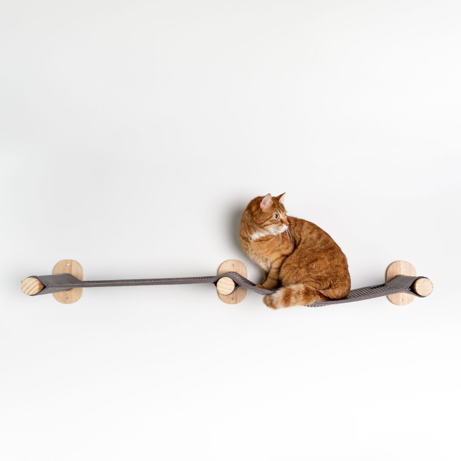 Muro Escalada Para Gatos - Puente, , large Imagen numero 3