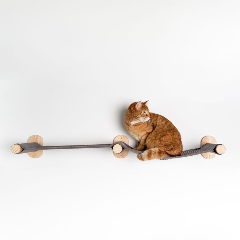 Rhrquality Muro Escalada Puente Para Gatos thumbnail