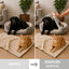 Nice Care Detergente Limpiador Higienizante Habitat para perros y gatos, , large indicador imagen numero 4