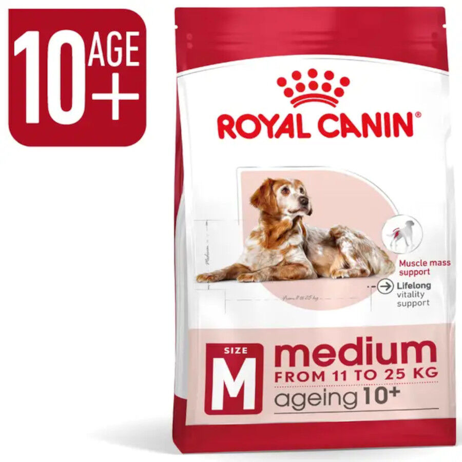 15 kg Royal Canin Medium 10+ Ageing pienso para perros&nbsp;senior, , large Imagen numero 3