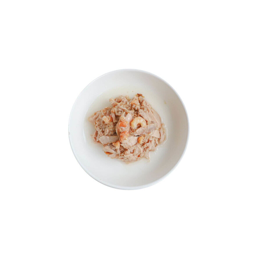 Kit Cat At&uacute;n con Camarones Gelatina Lata para gatos, , large Imagen numero 2