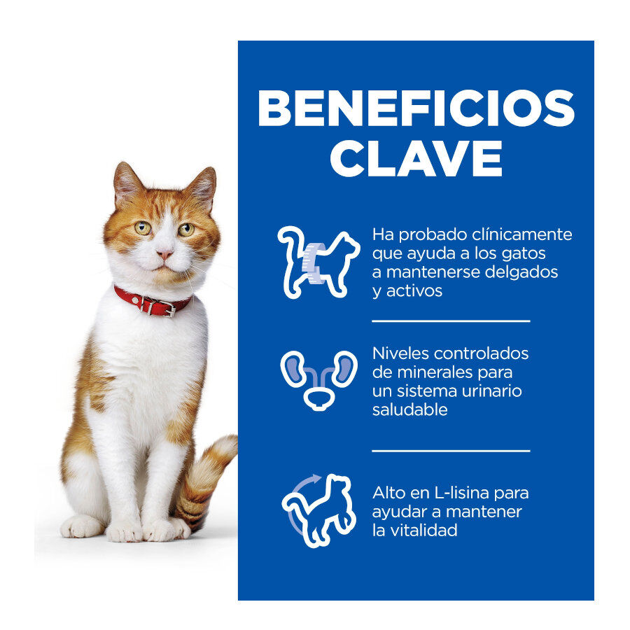 12 sobres x 85 g Hill's Science Plan Sterilised Carne y Pescado sobre para gatos , , large Imagen numero 4