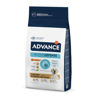 Advance Adult Labrador & Golden Retriever Active Defense Pollo y Arroz pienso para perros