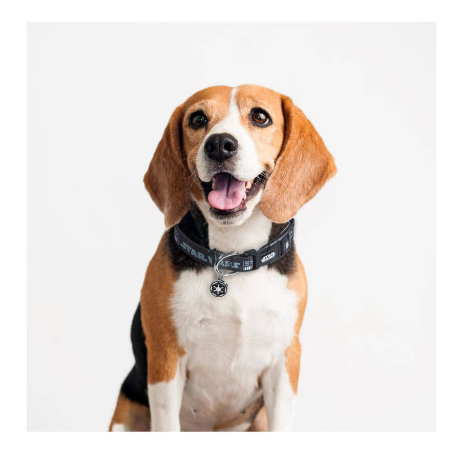 Disney Star Wars Collar Estampado para perros, , large Imagen numero 3