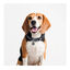 Disney Collar Estampado Star Wars para perros, , large indicador imagen numero 3