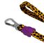 Correa Zee.dog HONEY XS, , large indicador imagen numero 3