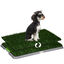 PawHut Inodoro para Perros con 2 Céspedes Artificiales Arenero para Perros con Rejilla y Bandeja para Entrenamiento de Cachorros en Exterior e Interior 67x41x3,5 cm Verde, , large indicador imagen numero 1