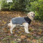 Abrigo térmico para perros color Gris, , large image number null