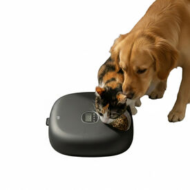 All For Paws Lifestyle Comedero Automático Negro para perros y gatos