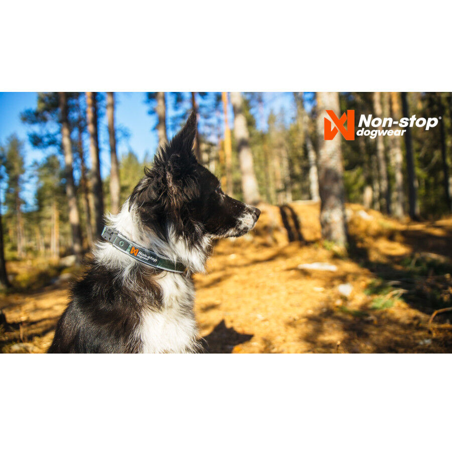 Non-stop dogwear Roam Collar Verde para perros, , large Imagen numero 3
