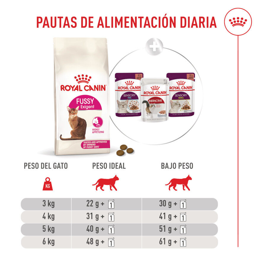 10 kg Royal Canin Fussy Exigent Pienso Ave para gatos, , large Imagen numero 10