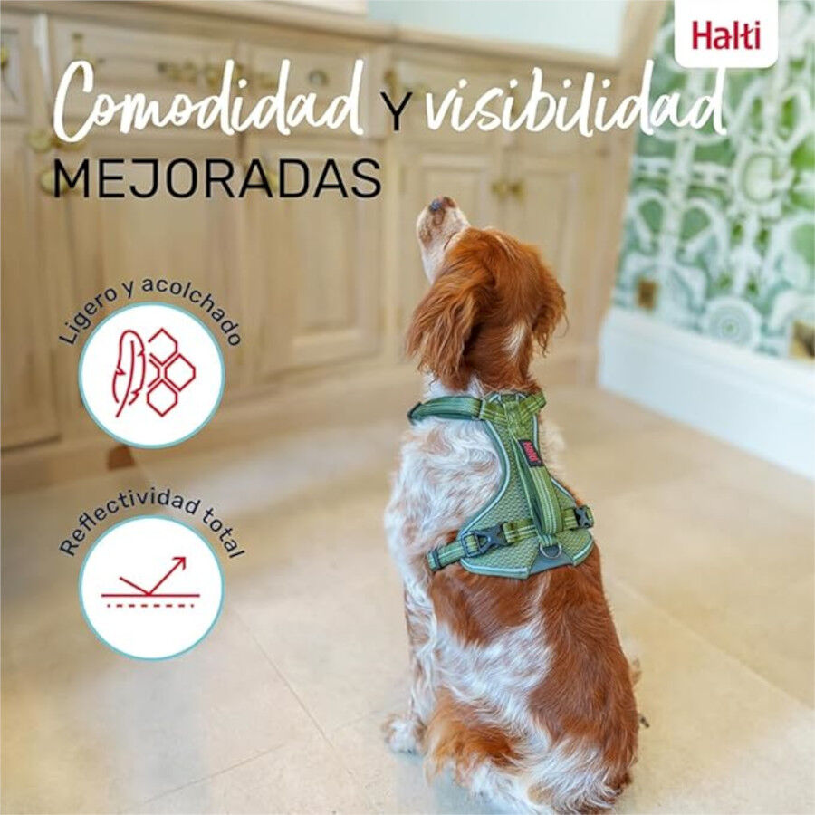 Halti arnés anatómico con asa verde para perros thumbnail