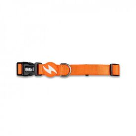 Collar para perros color Naranja