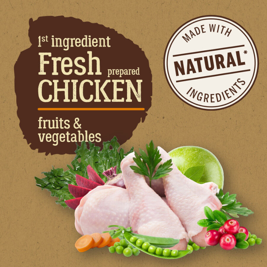 True Origins Pure Adult Maxi Pollo pienso para perros thumbnail