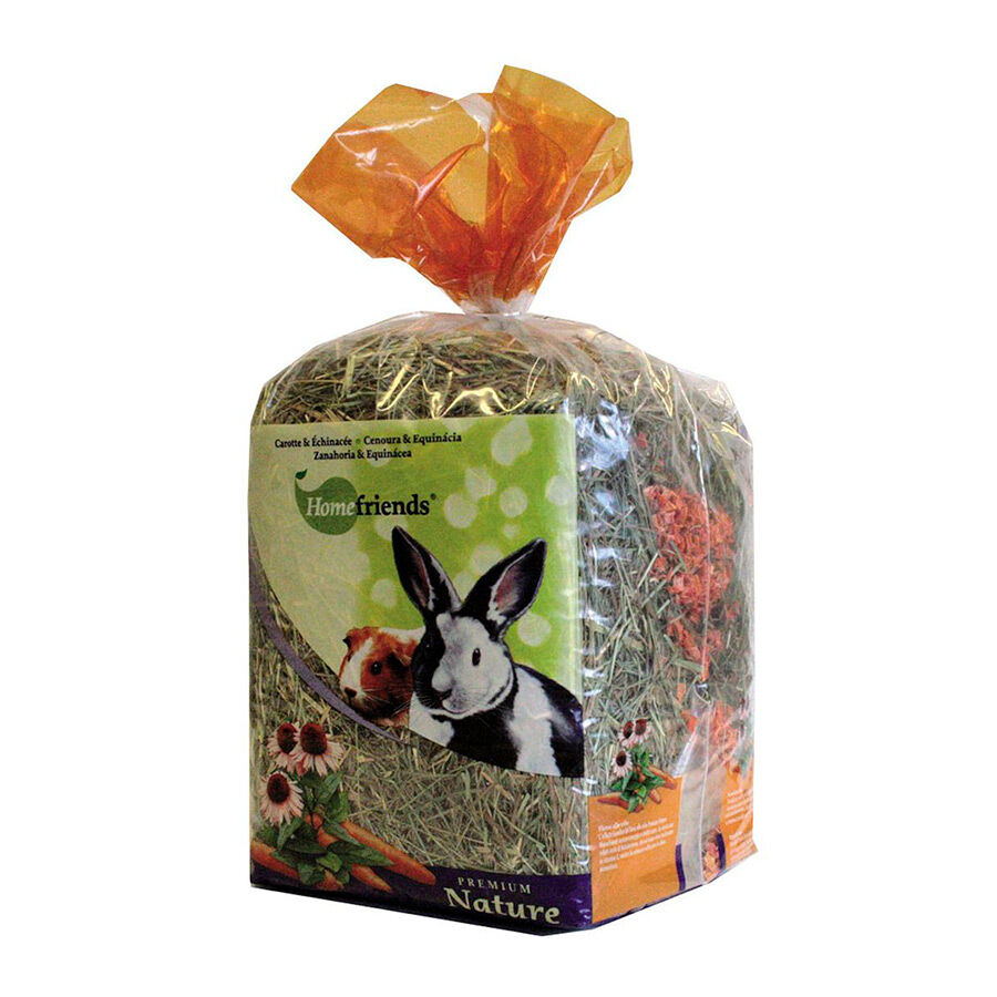 Home Friends Heno Zanahoria para roedores