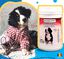 Calci Bio Vit – Complemento Nutricional para Cachorros y Hembras Lactantes., , large indicador imagen numero 2