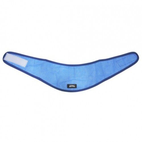 Bandana refrescante para perro color Azul, , large Imagen numero 1