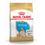 12 kg Royal Canin Puppy Bulldog pienso para cachorros, , large indicador imagen numero 2