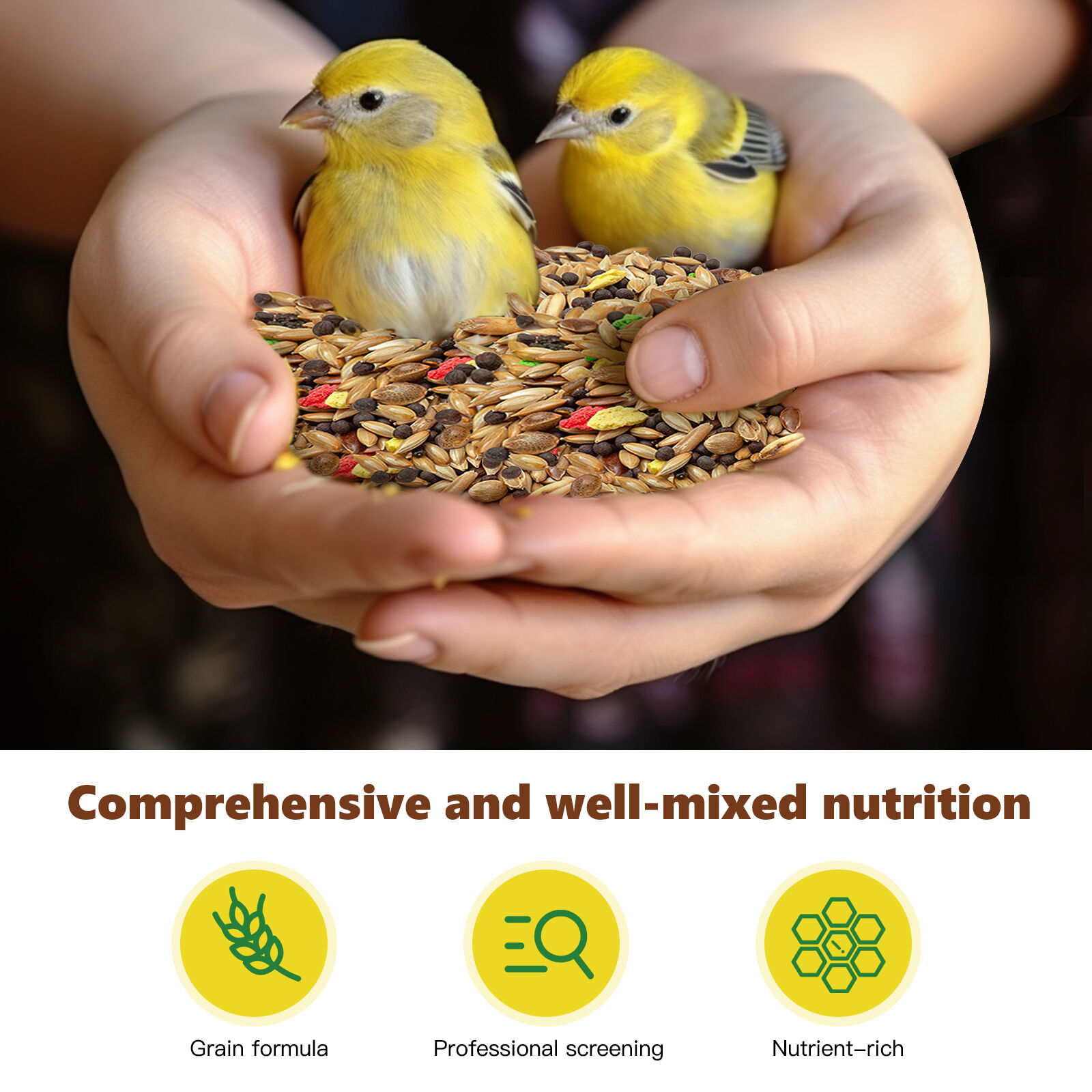 Nobleza - (500g) Comida para Canarios, Pienso Premium para Aves, Alimento Sana y Sabrosa para P&aacute;jaros, , large Imagen numero 3