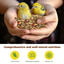 Nobleza - (500g) Comida para Canarios, Pienso Premium para Aves, Alimento Sana y Sabrosa para P&aacute;jaros, , large indicador imagen numero 3