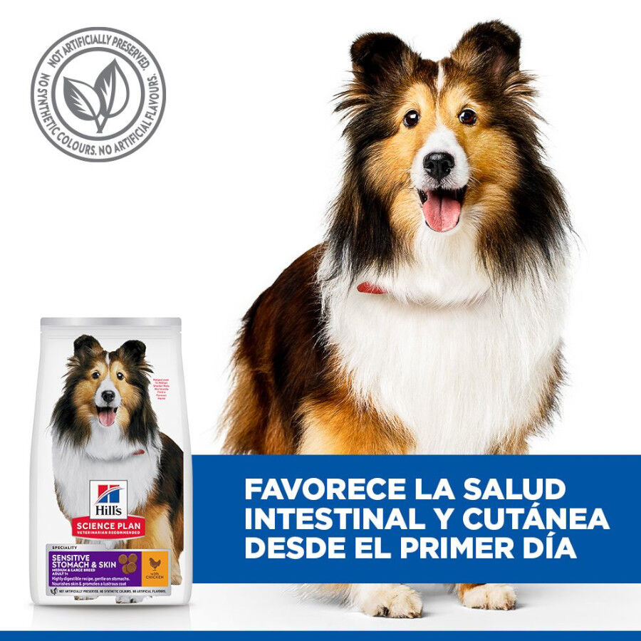 Hill&#039;s Science Plan Sensitive Stomach y skin Adult Pollo pienso para perros thumbnail