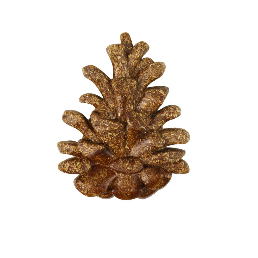 Nibbz Cono de Pino complemento alimenticio para Roedores thumbnail