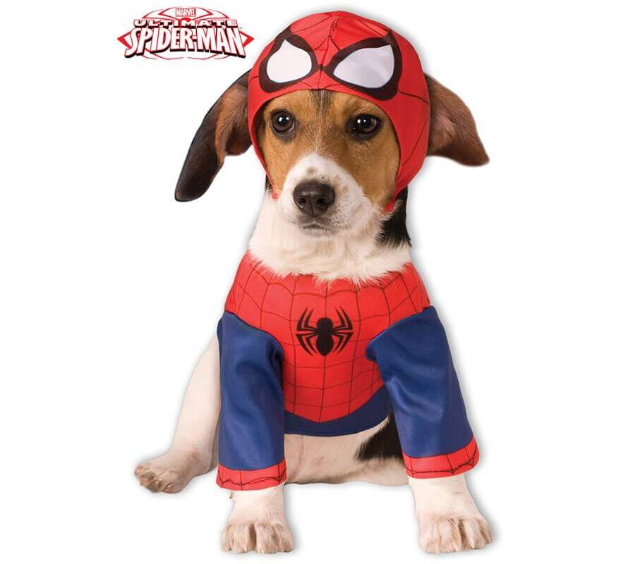 Disfraz Spiderman para perro, , large Imagen numero 2