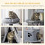 PawHut Árbol Rascador para Gatos, , large indicador imagen numero 5