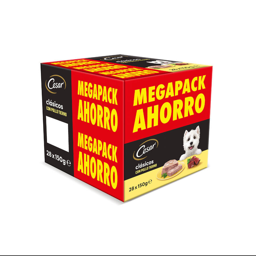 28 tarrinas x 150 g (20 + 8 tarrinas &iexcl;gratis!) Cesar Pollo e H&iacute;gado Tarrina en Pat&eacute; para Perros, , large Imagen numero 1