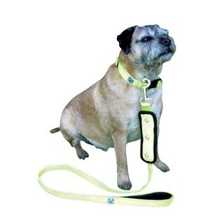 Correa reflectante para perros color Amarillo