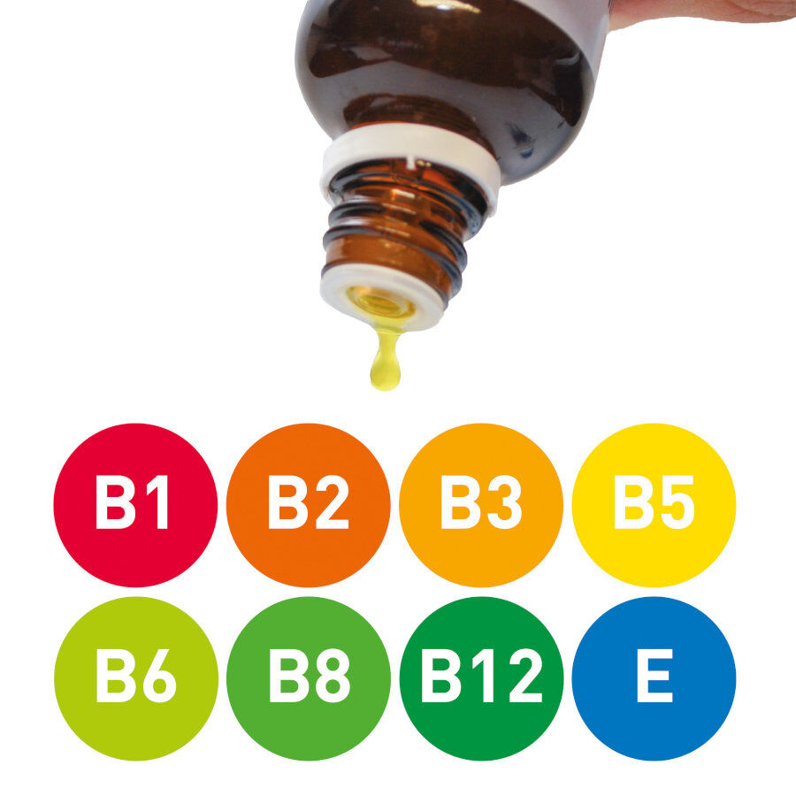 50 ml Beaphar Multivitaminas con Carnitina para perros, , large Imagen numero 2