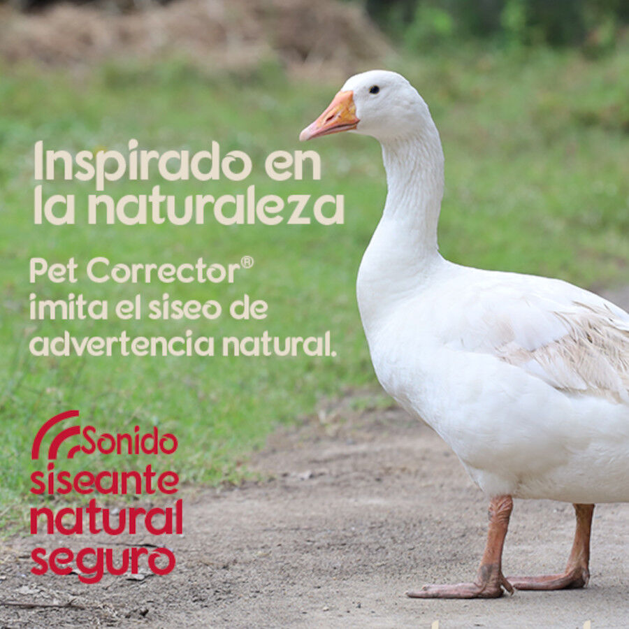 Pet Corrector Spray de adiestramiento para perros, , large Imagen numero 4