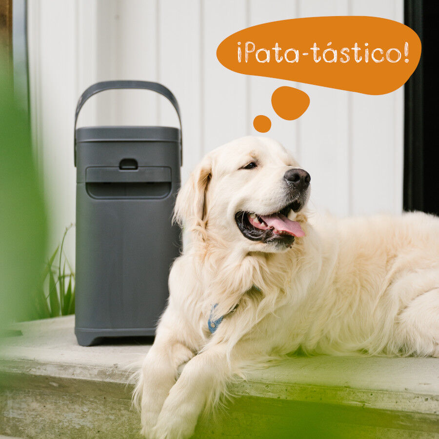 Litter Genie Laminas Recambio Excremento para perros, , large Imagen numero 12