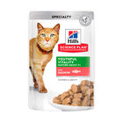 Hill’s Science Plan Youthful Vitality Adult Mature 7+ Salmón sobre para gatos, , large image number null