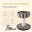 PawHut &aacute;rbol rascador peque&ntilde;o marr&oacute;n para gatos peque&ntilde;os, , large indicador imagen numero 3