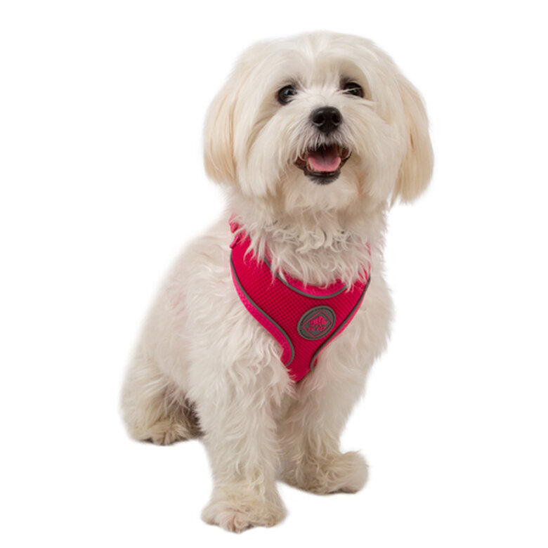 TK-Pet Soft rosa de alta visibilidad arnés perros image number null