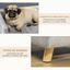 PawHut Sof&aacute; para Perro Gris oscuro, , large indicador imagen numero 5