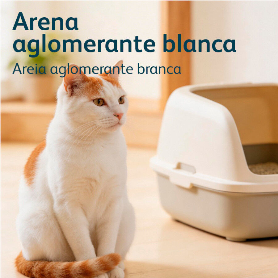 Nova Clean Ultra Arena Aglomerante de Talco para gatos, , large Imagen numero 6