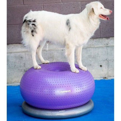 Pelota de equilibrio para mascotas color Azul, , large Imagen numero 5