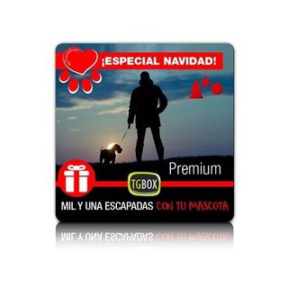 Tgbox mil y una escapada premium con tu mascota especial Navidad