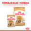 85 g Royal Canin Adult Shih Tzu Paté sobre para perros, , large indicador imagen numero 6