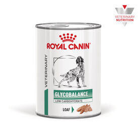 Royal Canin Veterinary Diabetic Latas para perros