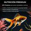 Comida Para Peces Goldfish - Colorantes Naturales Incros Goldfish 1000Gr, , large indicador imagen numero 2